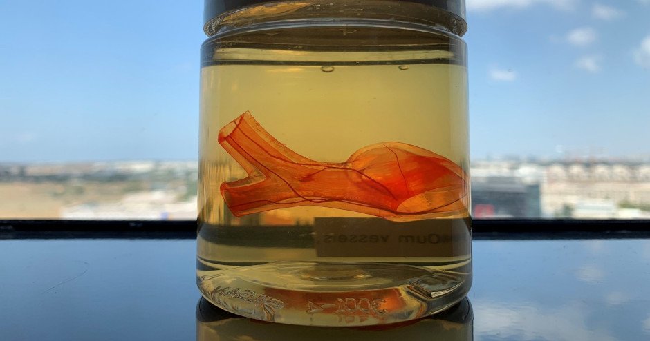 Traqueia bioimpressa em 3D